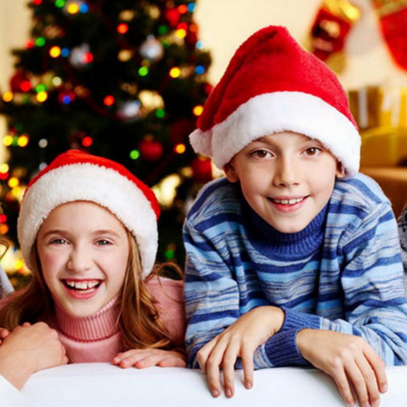 หมวกคริสต์มาสขนปุยสำหรับผู้ใหญ - Santa Hat Plush บทวิจารณ์และราคา