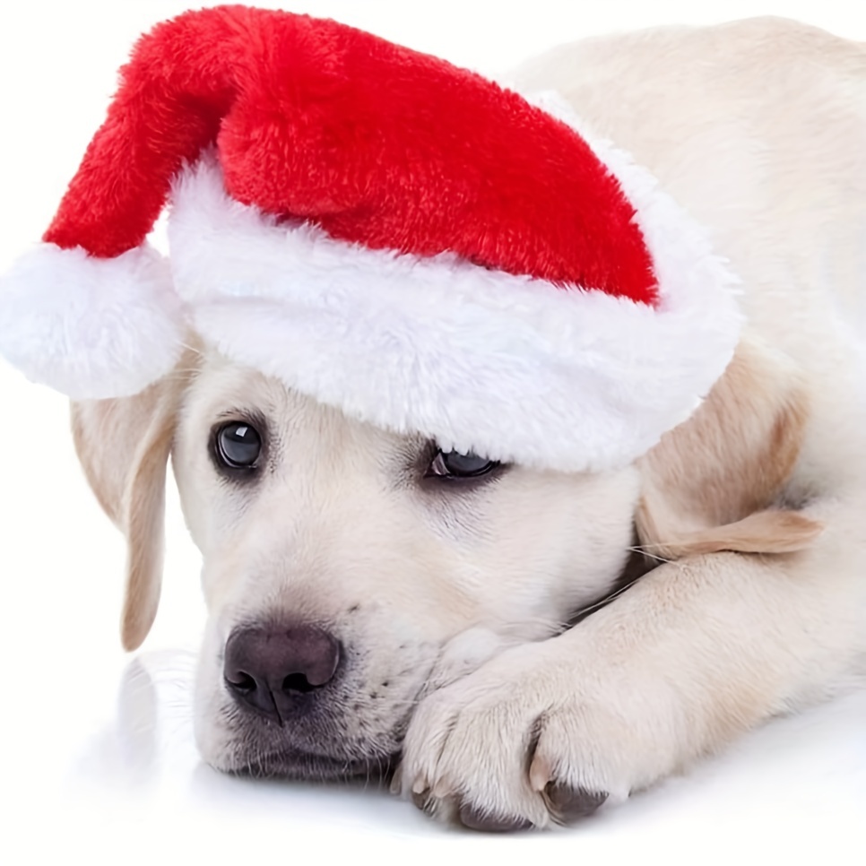 1-10 ชิ้น หมวกคริสต์มาสสำหรับส - Santa Hat Plush บทวิจารณ์และราคา