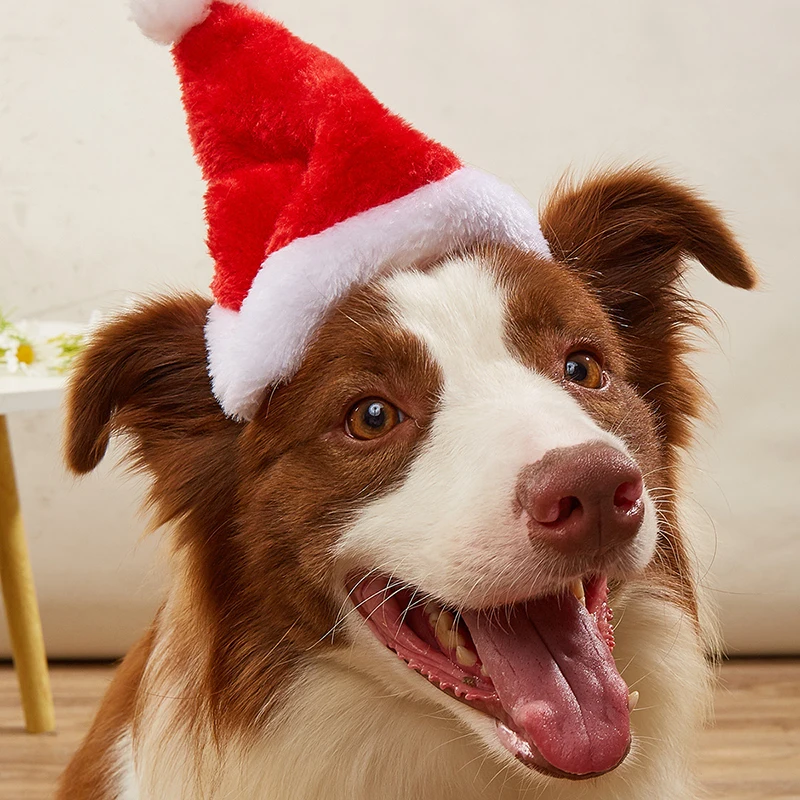 1-10 ชิ้น หมวกคริสต์มาสสำหรับส - Santa Hat Plush บทวิจารณ์และราคา